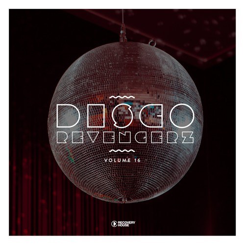 Disco Revengerz, Vol. 16 - Discoid House Selection