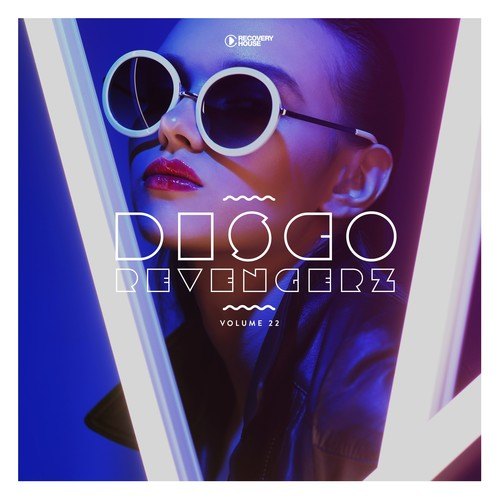 Disco Revengerz, Vol. 22 - Discoid House Selection
