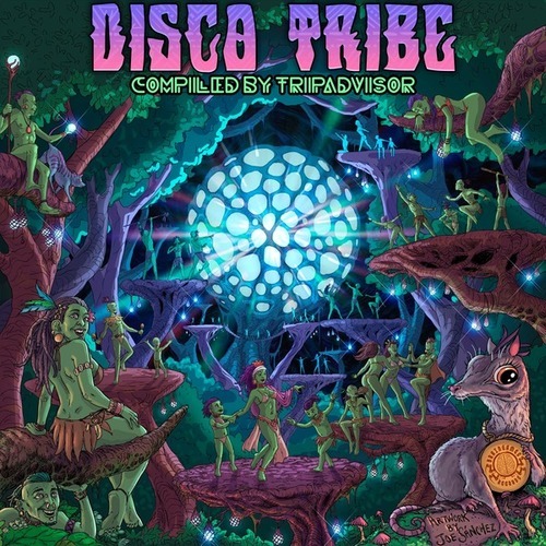 Various Artists-Disco Tribe
