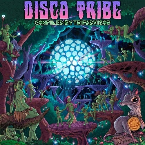 Various Artists-Disco Tribe