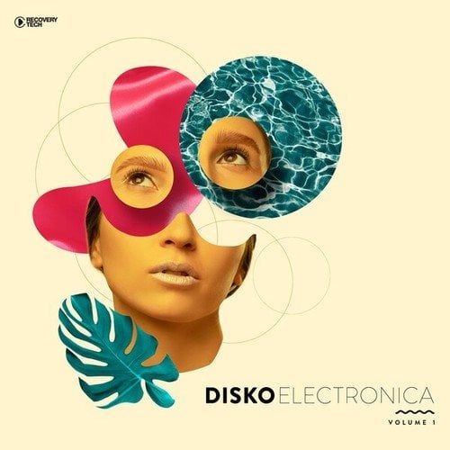 Disko Electronica, Vol. 1