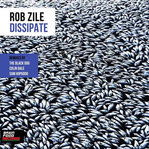 Rob Zile, The Black Dog, Colin Dale, Sam Hopgood-Dissipate