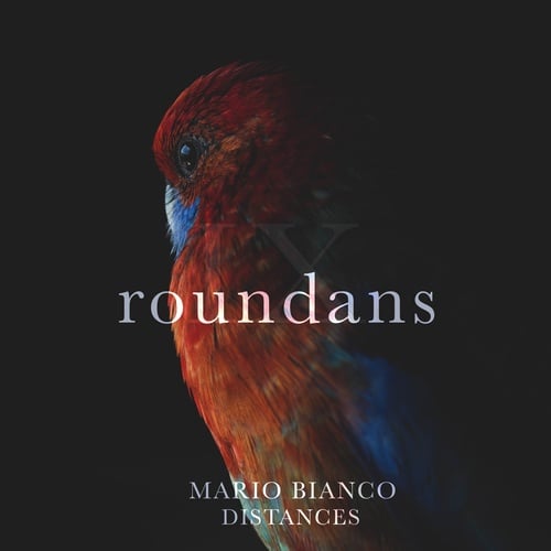 Mario Bianco-Distances