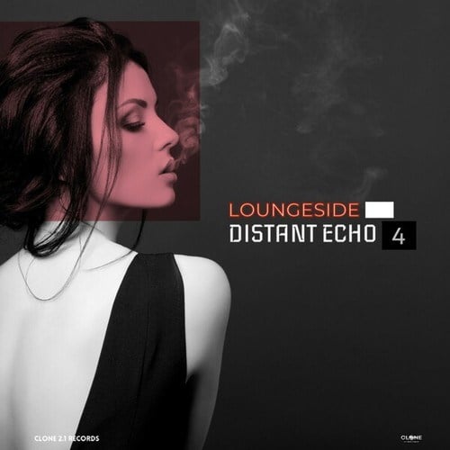 Distant Echo 4