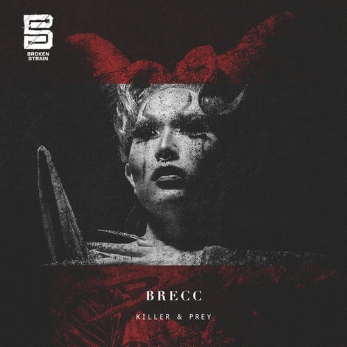Brecc-Disturbing the Piece