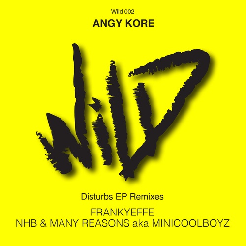 AnGy KoRe, Frankyeffe, Nhb-Disturbs Remixes