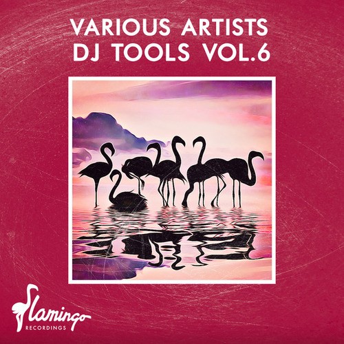 Various Artists-DJ Tools Vol.6