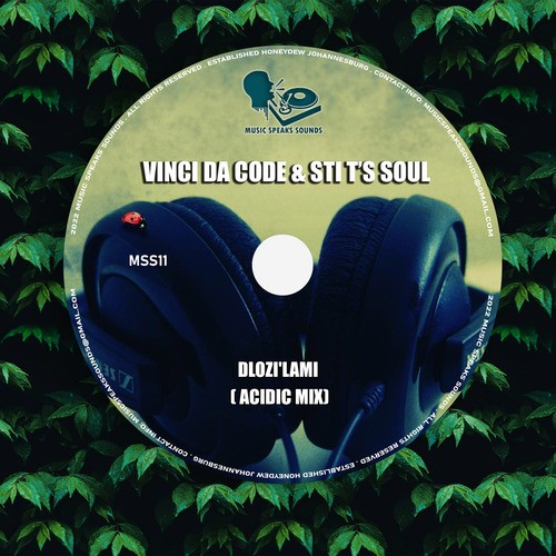 Vinci Da Code, STI T's Soul-Dlozi'lami (Acidic Mix)