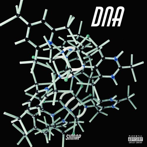 SINNAP-DNA