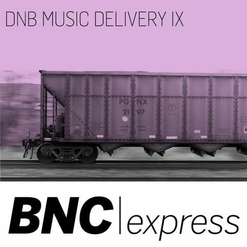 Various Artists-DNB Music Delivery IX