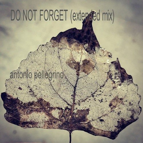 Antonio Pellegrino-Do Not Forget (Extended Mix)