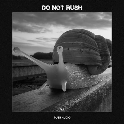 Various Artists-Do Not Rush