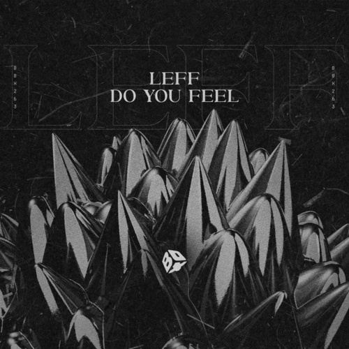 Leff-Do You Feel