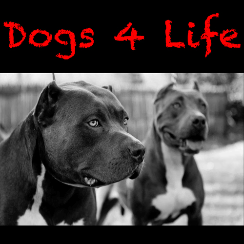 Various Artists-Dogs 4 Life