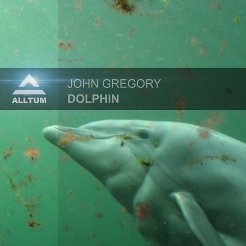 John Gregory, T.O.M.-Dolphin