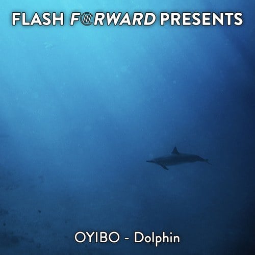 Oyibo-Dolphin