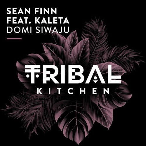 Sean Finn, Kaleta-Domi Siwaju (Extended Mix)