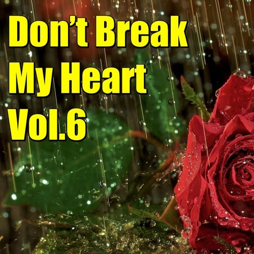 Don't Brake My Heart, Vol.6