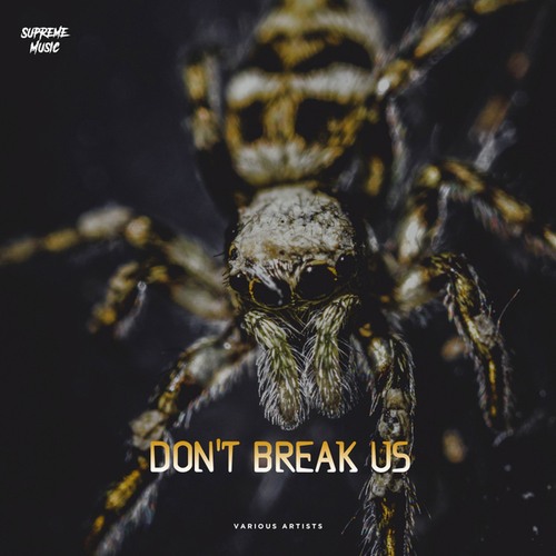 Various Artists-Don't Break Us