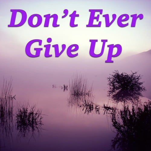 Various Artists-Don't Ever Give Up