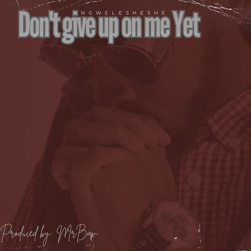 Don't give up on me yet