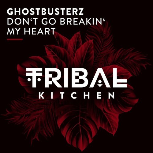 Ghostbusterz-Don't Go Breakin' My Heart (Extended Mix)