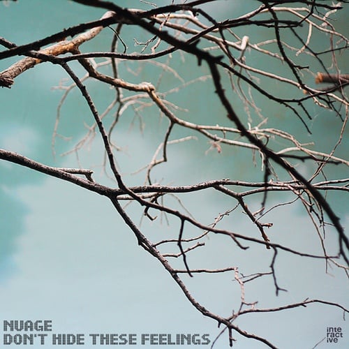 Nuage-Don't Hide These Feelings
