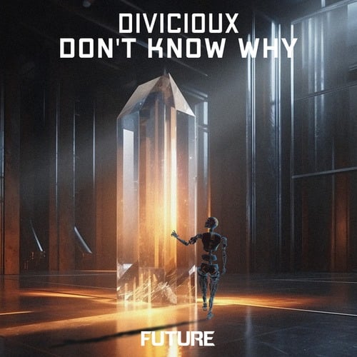 DIVICIOUX-Don't Know Why