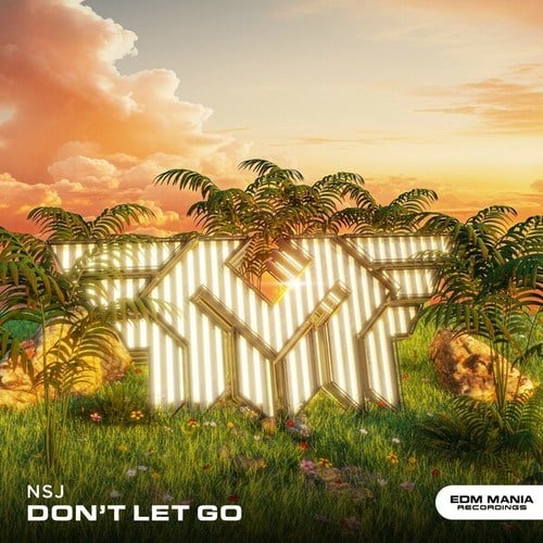 NSJ-Don't Let Go (Radio Edit)