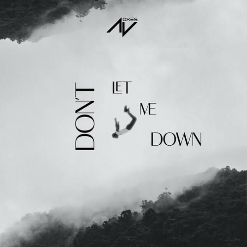 AV OXES-Don´t Let Me Down