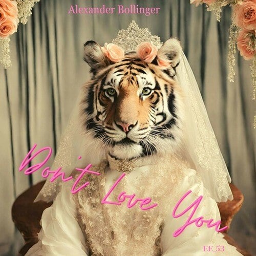 Alexander Bollinger-Don't Love You
