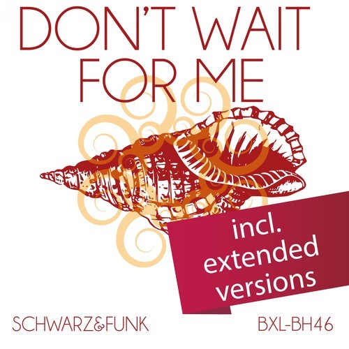 Schwarz & Funk-Don't Wait for Me (Extended Versions)