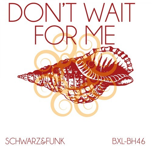 Schwarz & Funk-Don't Wait for Me