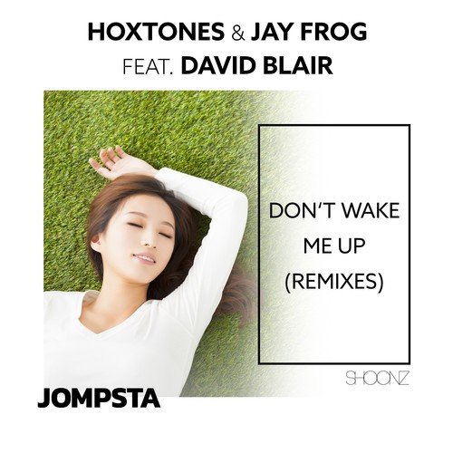 Hoxtones, Jay Frog, David Blair-Don't Wake Me Up (Remixes)