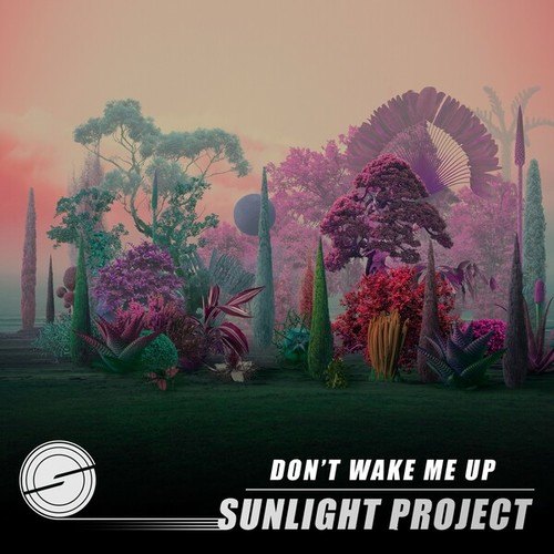 Sunlight Project-Don't Wake Me Up