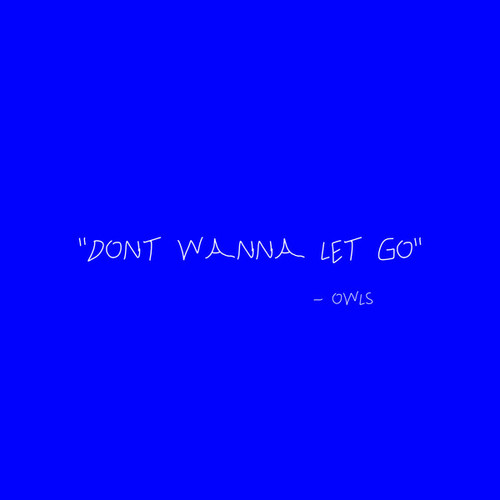 OWLS-Don't Wanna Let Go