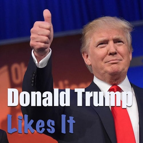 Various Artists-Donald Trump Likes It