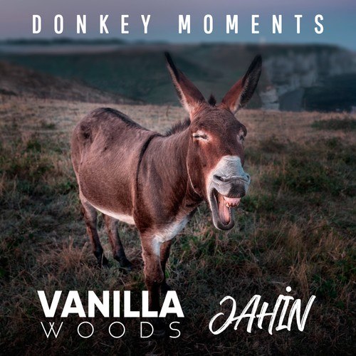 Donkey Moments