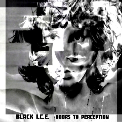 Black I.C.E.-Doors to Perception