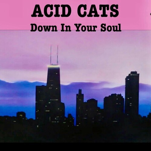 Acid Cats-Down in Your Soul