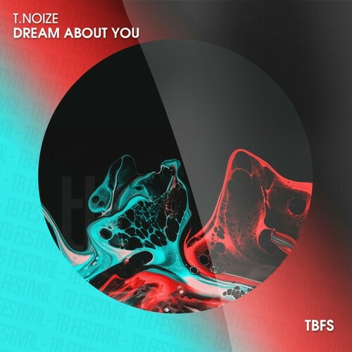 T.noize-Dream About You