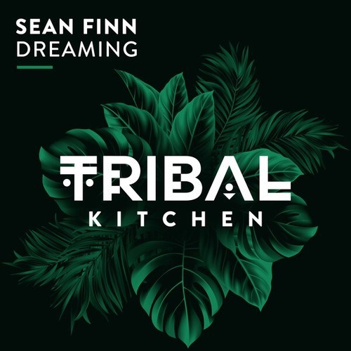 Sean Finn-Dreaming (Extended Mix)
