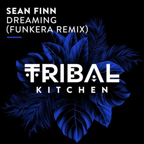 Sean Finn, Funkera-Dreaming (Funkera Remix)