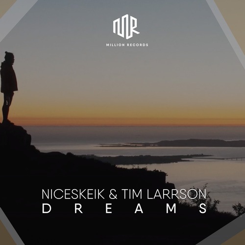 Tim Larrson, NICESKEIK-Dreams