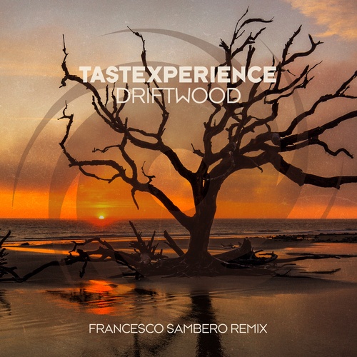 Tastexperience, Francesco Sambero-Driftwood