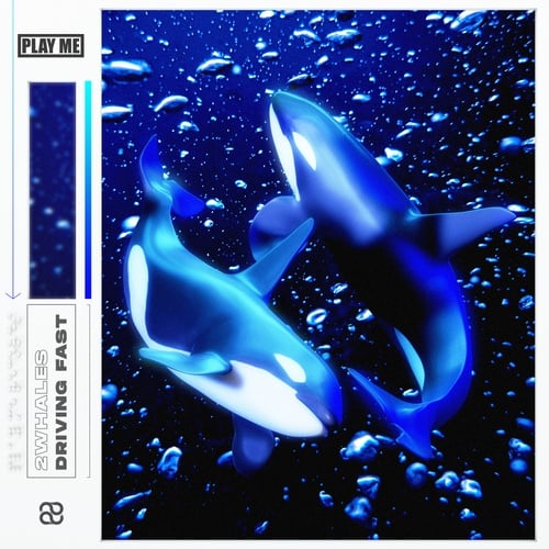 2Whales-Driving Fast