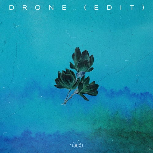 Waywell-Drone