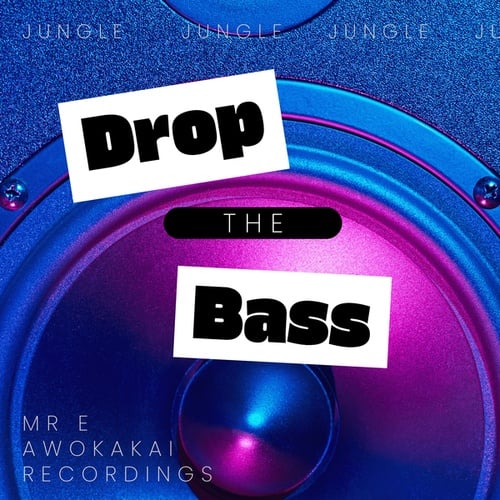 MR E-Drop The Bass