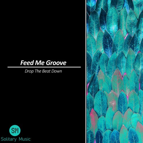 Feed Me Groove, Anthony Bolt, Thomas Mitchell-Drop the Beat Down