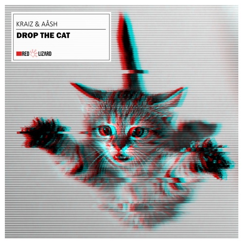 KRAIZ, AÅSH-Drop the Cat (Radio Edit)